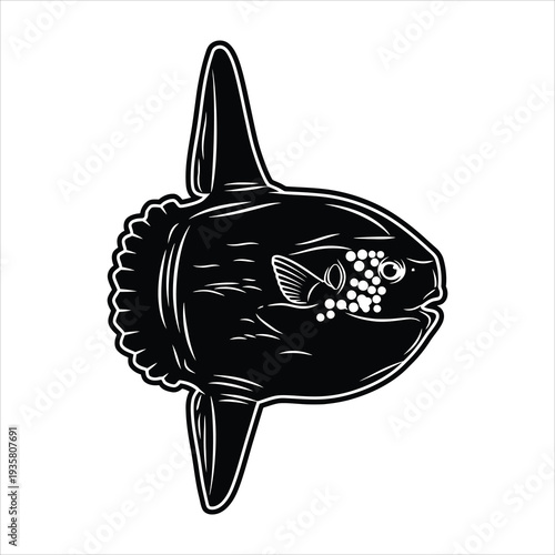 Sunfish mola mola silhouette isolated on white background vector