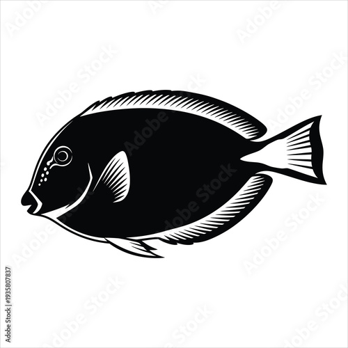 Tropical fish silhouette isolated on white background marine life