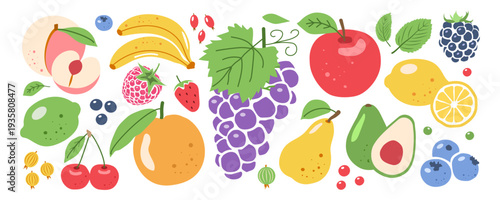 A hand-drawn set of fruits for preparing delicious culinary dishes in the kitchen. Vector illustration.