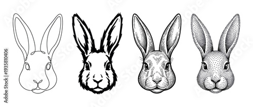 Four rabbit head illustrations in different artistic styles including continuous line art, ink sketch, engraving, and stippling, showing a progression of detail and technique