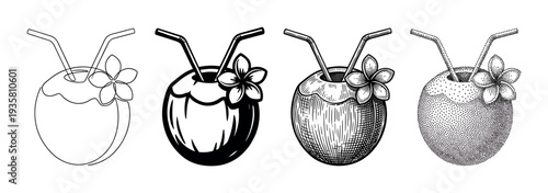 Set of four coconut cocktail illustrations in different artistic styles including line art, engraving, stippling, and silhouette, each garnished with a tropical flower and straws