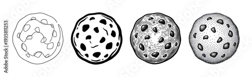 Set of four chocolate chip cookies drawn in various black and white artistic techniques, including line art, graphic illustration, vintage engraving, and detailed stippling