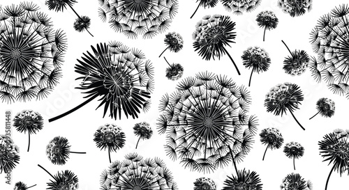 Seamless pattern with hand drawn dandelion flowers and fluffy seeds, black and white botanical sketch vector illustration for fabric, wallpaper.