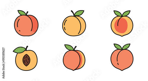 Peach Line art vector set dynamic modern abstract illustration
