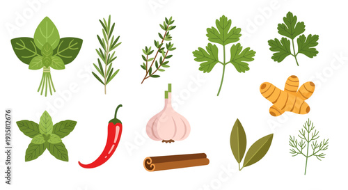 Fresh herbs and spices on white background