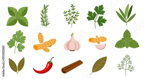Fresh herbs and spices on white background