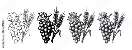 Set of four black and white illustrations of grapes and wheat ears showcasing different artistic techniques from simple outline to detailed engraving and stippling dotwork