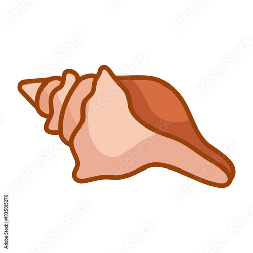 Knobbed whelk seashell flat