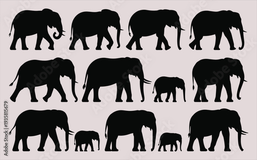 Elephant Herd Silhouette Walking Pattern African Wildlife