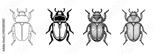 Four black and white beetle illustrations in a row showcasing different graphic styles from simple outline and solid silhouette to detailed engraving and pointillism