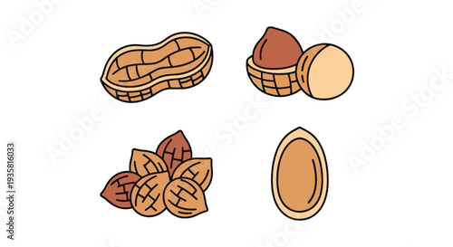 Groundnut Line art vector set abstract smooth color