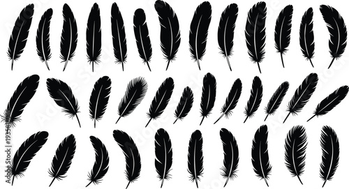 Set of black feather silhouettes, various bird plumes in different shapes and sizes, decorative wing elements for nature inspired graphic design