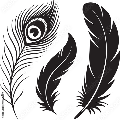 Kinds of Silhouette Set feather icon sign vector Without Background