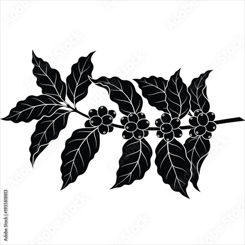 Coffee branch with leaves and beans vector silhouette illustration