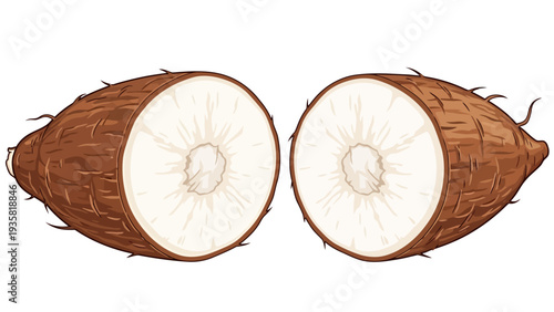 Coconut Fruit Cut Open.