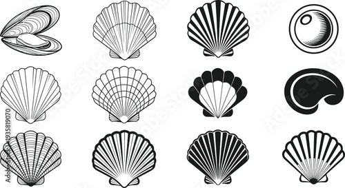 Collection of black and white seashell silhouettes and detailed line art illustrations featuring scallops clams and pearls for marine designs