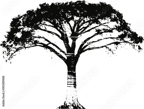 black silhouette of a large spreading tree with detailed branches and foliage on white background
