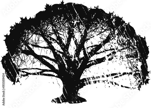 Silhouette of a large spreading tree with detailed branches and leaves on a white background