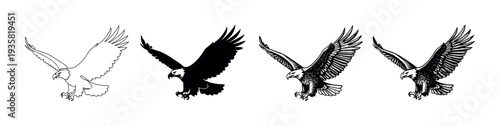 Four majestic flying eagles are depicted in various black and white artistic styles, including outline, silhouette, detailed etching, and textured stippling illustrations, with powerful wings spread