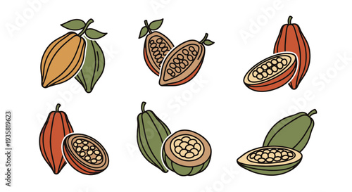 Cocoa pod Line art vector set soft color design