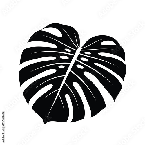 Monstera deliciosa leaf silhouette vector for tropical decoration