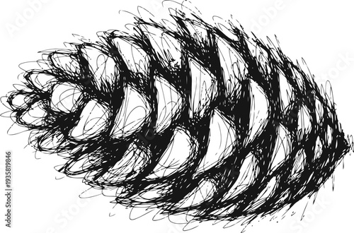 Illustration of a detailed pine cone with intricate lines and textures on a white background