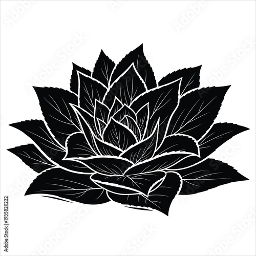 Stylized succulent plant with many layers of leaves in vector illustration