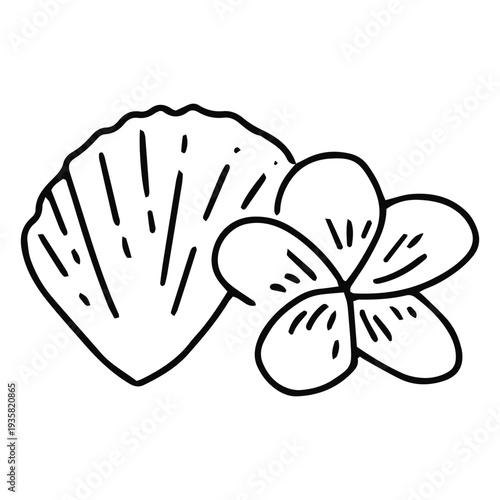 Seashell and plumeria flower stroke