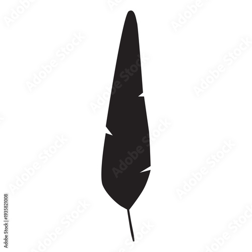 Basic feather silhouette