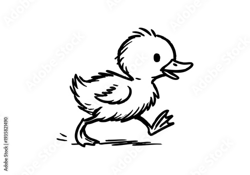 Ducklings Hand Drawn Illustration Vector by AZ for Books, Arts, Design and Decoration Graphic Asset