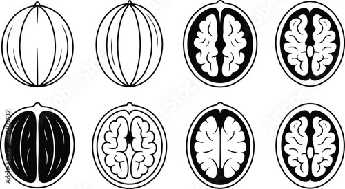 Walnut halves and whole walnuts illustration top view black and white icons