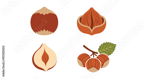 Hazelnut Line art vector set colorful creative design illustration