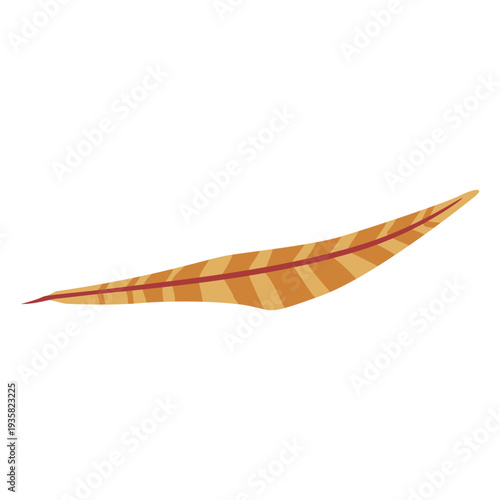 Brown striped feather