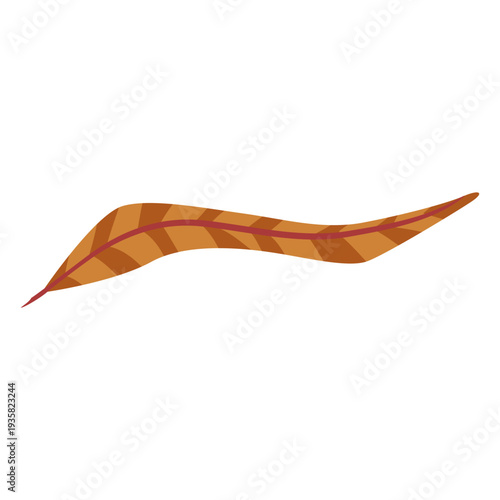 Boho striped feather