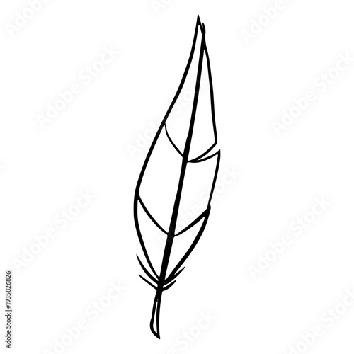 Drawn boho feather