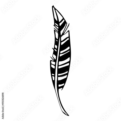 Leaf similar feather