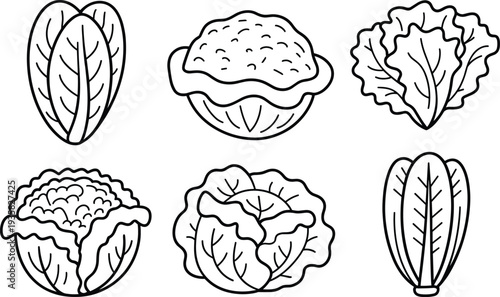 Collection of Fresh Leafy Green Vegetables Outline Icons