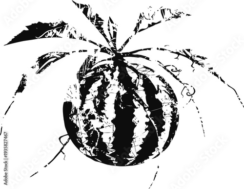 Watermelon plant with a ripe striped watermelon fruit hanging and green leaves in a garden setting