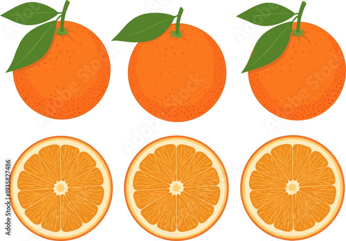 Orange Fruit Icon Set Featuring Whole Oranges with Leaves and Citrus Cross Section Slices for Fresh Juice Design and Healthy Food Illustration