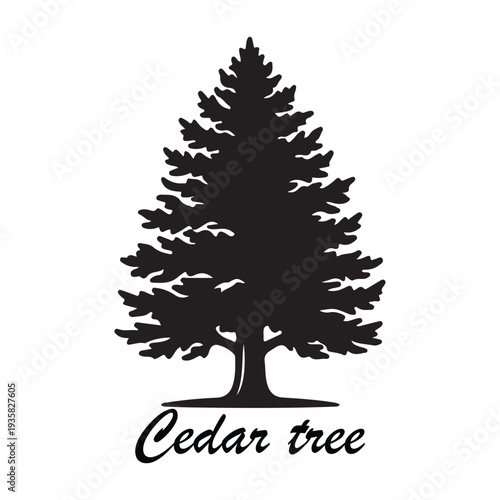 Cedar tree silhouette isolated on white background, evergreen coniferous vector illustration