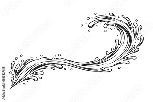 Elegant black and white wave and feather decorative illustration