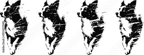 Playful small dog running actively, joyful pet in outdoor motion with ears flapping and tail up