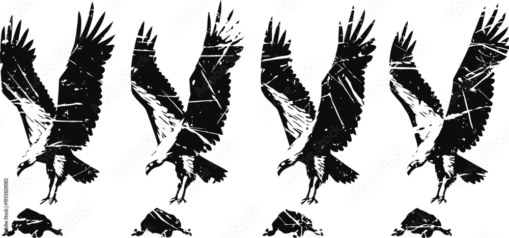Fototapeta premium Eagle silhouette landing sequence black bird of prey with wings spread hunting and capturing fish