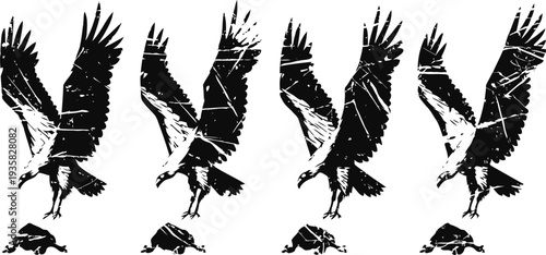 Eagle silhouette landing sequence black bird of prey with wings spread hunting and capturing fish
