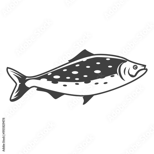 Seafood fish illustration