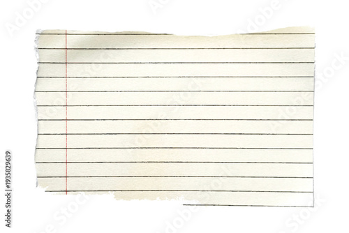 Torn Lined Notebook Paper Scrap Isolated on White Background.