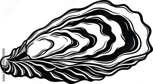 Black and white oyster shell illustration, detailed hand drawn seashell vector, marine life oyster sketch for seafood restaurant menu design