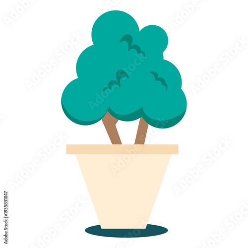 Plant cute bonsai