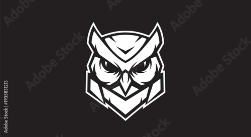 Stylized owl illustration on dark background