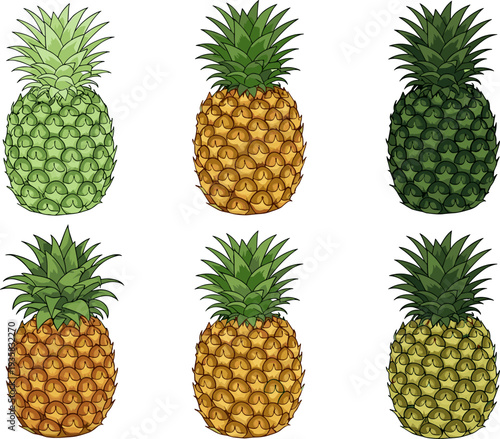 Pineapple Icon Set Featuring Different Pineapple Color Variations with Detailed Tropical Fruit Illustration for Fresh Juice Design and Healthy Food Graphics